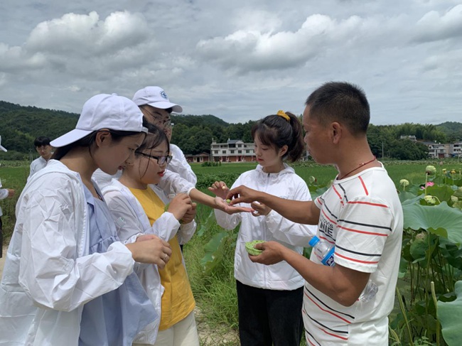 隊員參觀蓮子生產(chǎn)基地。福建船政交通職業(yè)學(xué)院供圖